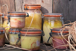 foie gras en conserve
